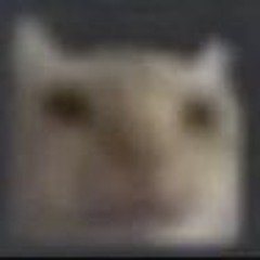 i'm not a puppet - datfootdive