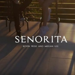 Kevin Woo & Megan Lee - Señorita (Cover)