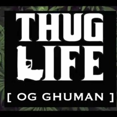 THUG LIFE - OG GHUMAN ( OFFICIAL AUDIO )