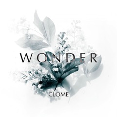 WONDER