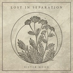 Lost In Separation "Winter Sleep"