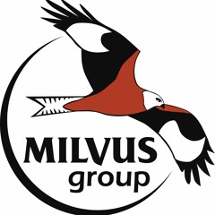 Cuibul, cea mai frumoasă casă -2-