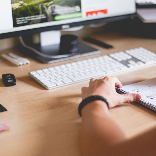 Web Programming Company