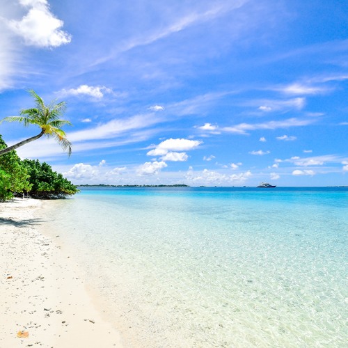 Reise Ans Meer