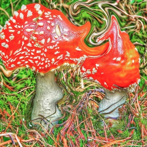 ✫Skit your cl!t☭