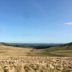 Stupid Stupid Stupid