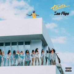 Tyga - Taste (Zee Flips)