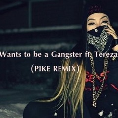 Jimmy Wants To Be A Gangster Ft. Tereza Delzz(PIKE REMIX)