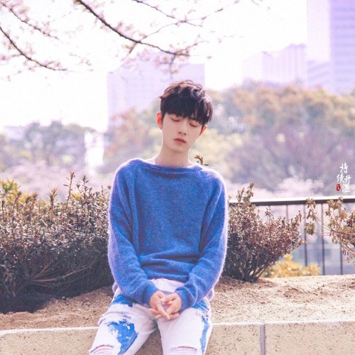 信号 (Signal) | 肖战 Tiêu Chiến x  XNINEs Vocal Line