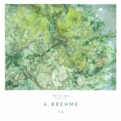 INVEINS \ Podcast \ 056 \ A. Brehme