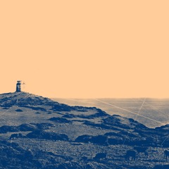 j/mve x Antichi Sentieri - MUS_ aRE wE iN dANGER? #018