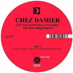 Chez Damier - Can You Feel It (HI-LO Remix)