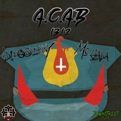 Disa & Gala - 🚨 ACAB 1312 🚔