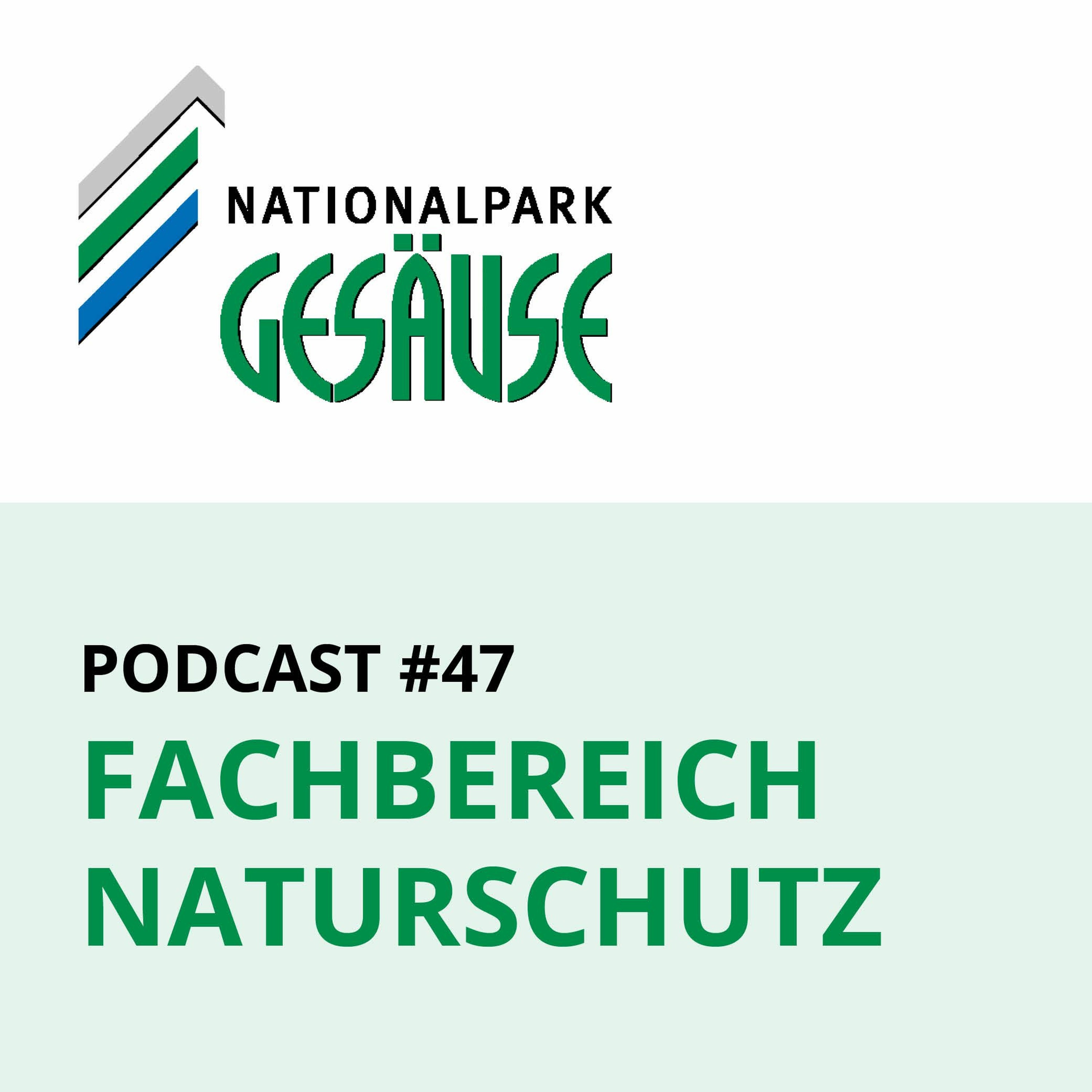 Nationalpark Gesäuse Podcast