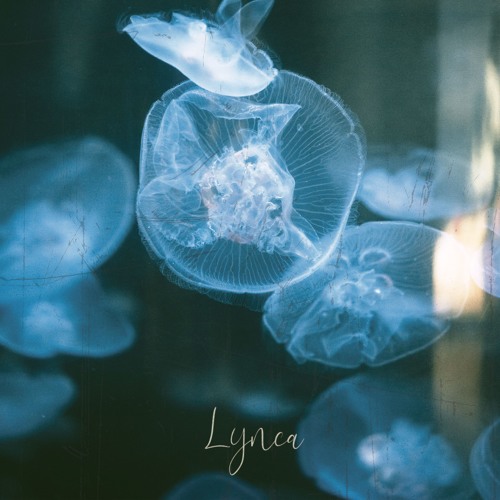 Lynca - Let