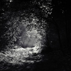 Night travelers