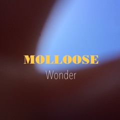 Wonder