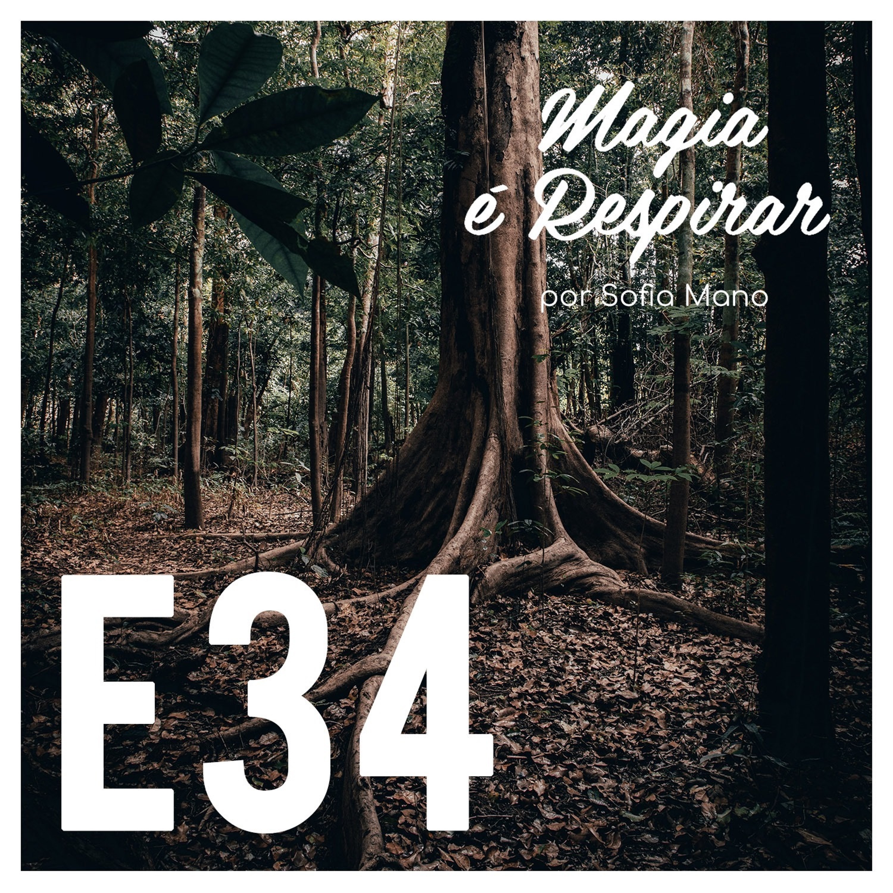 Magia é respirar
