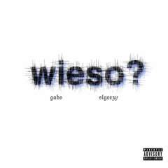 wieso? ft. luvkaonashi (prod. by Don Camillo)