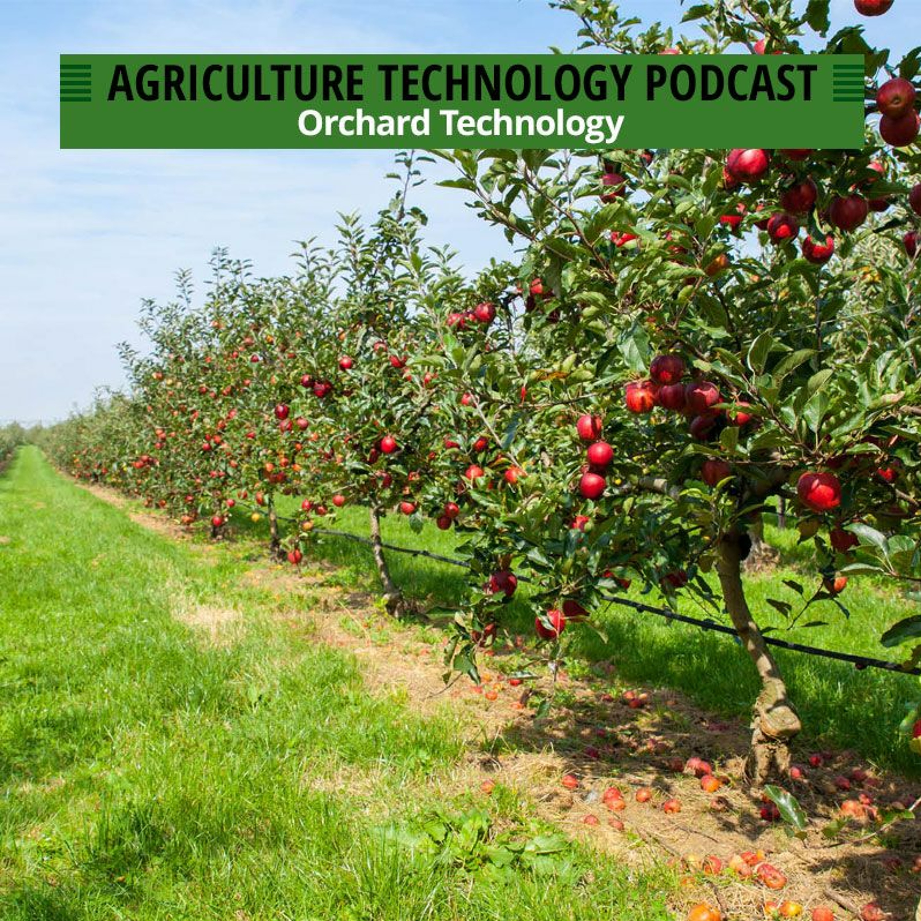 Ep. 99 Orchard Technology