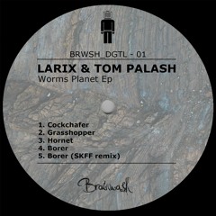 Larix & Tom Palash - Borer