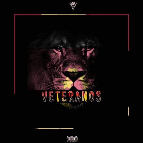 BoysGang - Veteranos