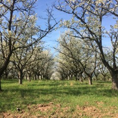 @URF Sunday closing 6:30-09:00 am