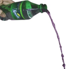 TÉMA LA TAILLE DU 🍣