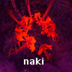 Naki - Light Fractals