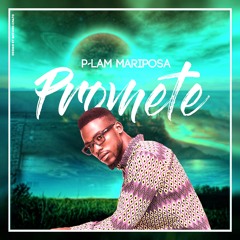 P-Lam Mariposa - Promete