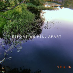 before we fell apart