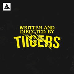 Tiigers - From Dusk (Original Mix)