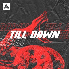 Tiigers - Till Dawn