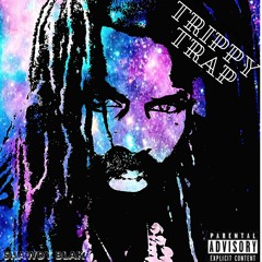 P.sychedelicT.rapS.hitD.