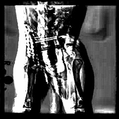 Origins of the Modern Mind