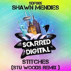 SDF005 Shawn Mendiezs  - Stitches (Stu Woods Remix) *free download*