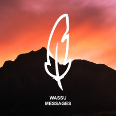 Wassu - Messages (LeSonic Remix) (snippet)