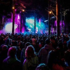 Rave in the Woods