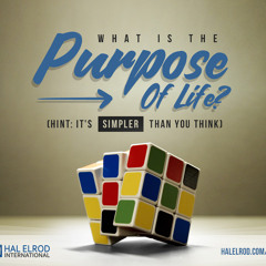 285: What Is the Purpose of Life? (Hint: It's Simpler Than You Think)