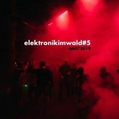 Elektronikimwald #5