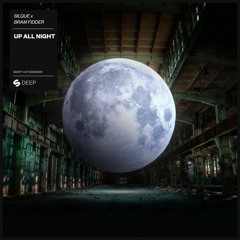 Silque X Bram Fidder - Up All Night [OUT NOW]