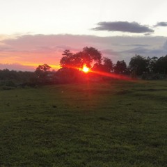 Freeverse (S.S. SEA x Brad x Cali Juaan x Anghell)