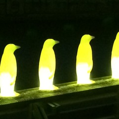 Consort Music (2014-17)