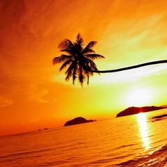 Tom Bols - Summer 2019