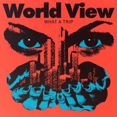 World View - Connie