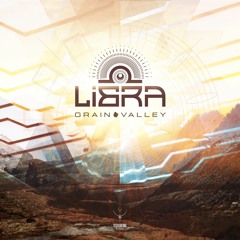 Libra - Grain Valley | Out on TechSafari records