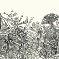 Rings Cycle