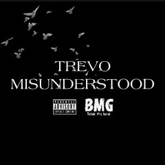 Misunderstood (Prod By Thanks RayRay)