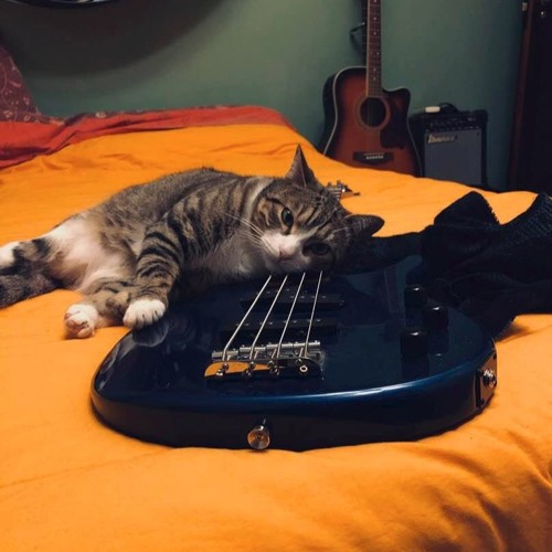 A Stranger - A Perfect Circle