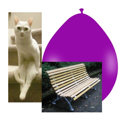 nada de lo que digo tiene sentido